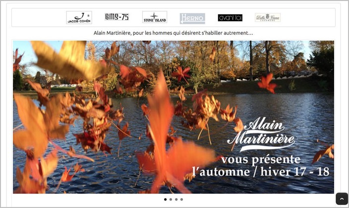 * page d'accueil du site alainmartiniere.com