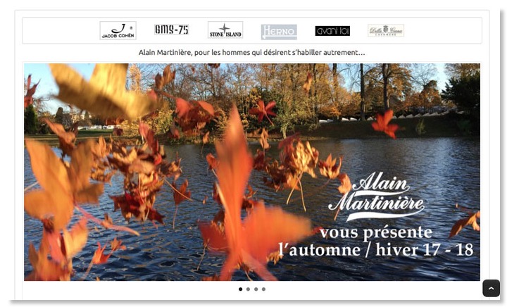* page d'accueil du site Alainmartiniere.com